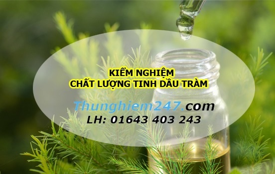 Kiểm nghiệm chất lượng tinh dầu tràm