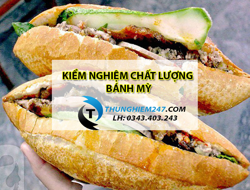 dia-chi-dich-vu-kiem-nghiem-banh-mi-gia-re-nhanh-nhat