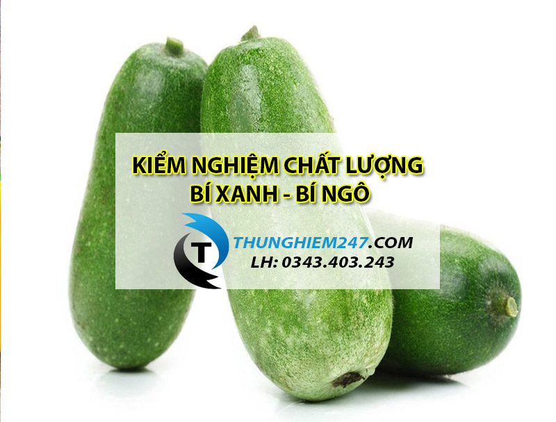 dia-chi-dich-vu-kiem-nghiem-bi-xanh-bi-gia-re-nhanh-nhat