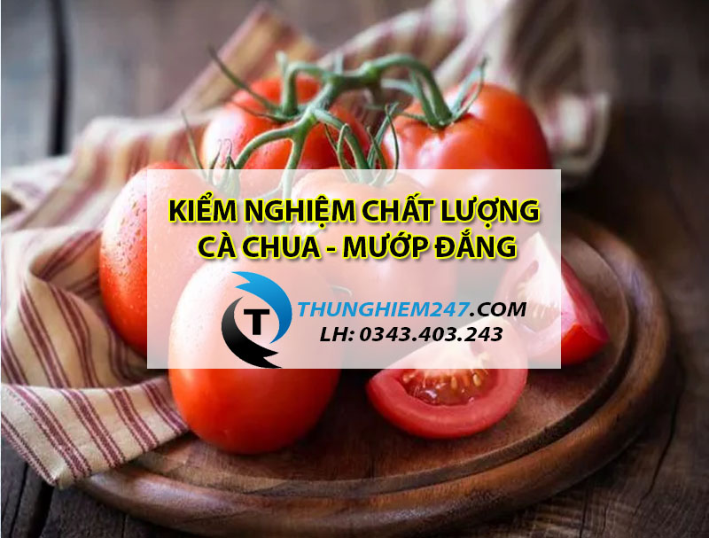 dia-chi-dich-vu-kiem-nghiem-ca-chua-muop-dang-dau-dua-gia-re