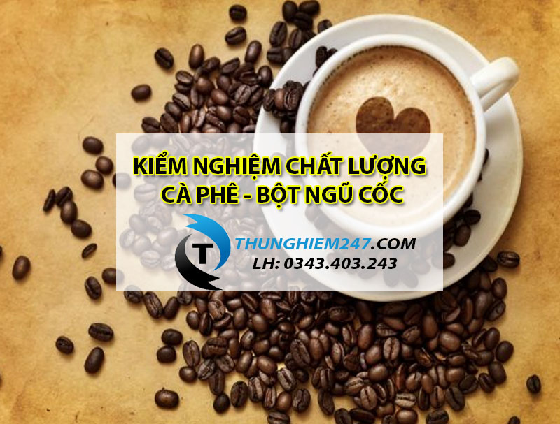 dia-chi-dich-vu-kiem-nghiem-ca-phe-bot-ngu-coc-dinh-duong-gia-re