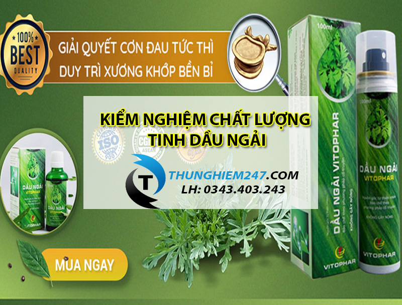 kiem-nghiem-tinh-dau-ngai-o-dau-va-kiem-nghiem-nhung-chi-tieu-gi-2