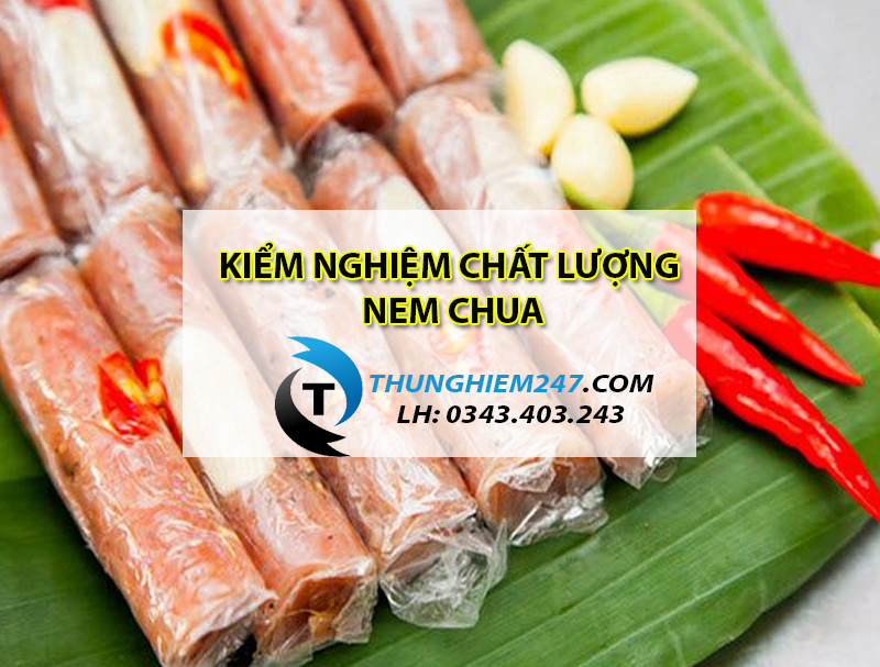 dia-chi-kiem-nghiem-chat-luong-nem-chua-gia-re-va-nhanh-chong-nhat