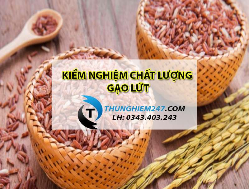 dia-chi-kiem-nghiem-gao-lut-gia-re-uy-tin-va-nhanh-chong-nhat