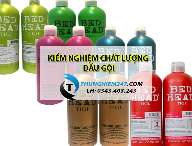 kiem-nghiem-dau-goi-o-dau-va-kiem-nghiem-nhung-chi-tieu-gi