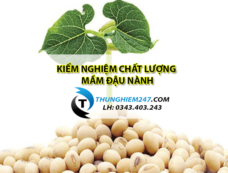 kiem-nghiem-mam-dau-nanh-o-dau-va-kiem-nghiem-nhung-chi-tieu-gi