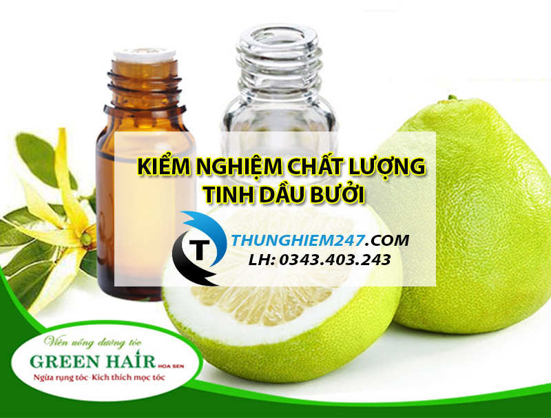 kiem-nghiem-tinh-dau-buoi-o-dau-va-kiem-nghiem-nhung-chi-tieu-gi