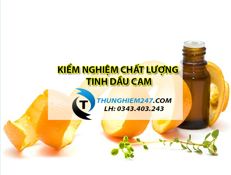 kiem-nghiem-tinh-dau-cam-o-dau-va-kiem-nhung-chi-tieu-gi