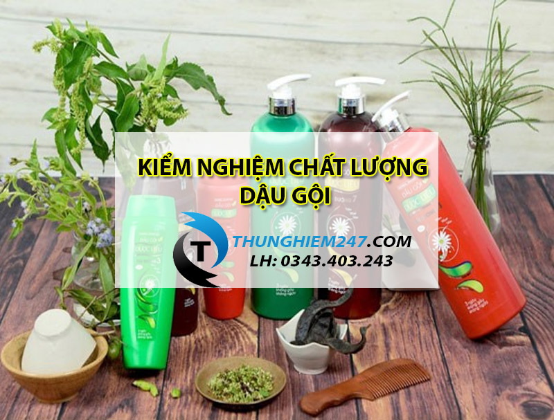 dia-chi-kiem-nghiem-dau-goi-gia-re-uy-tin-nhanh-chong-nhat