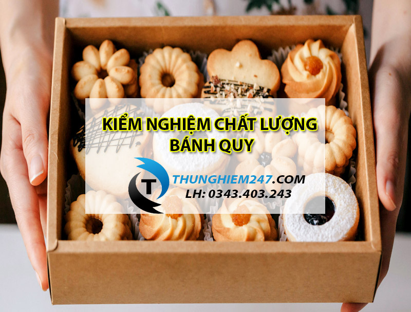 dia-chi-dich-vu-kiem-nghiem-banh-quy-gia-re-uy-tin-nhat