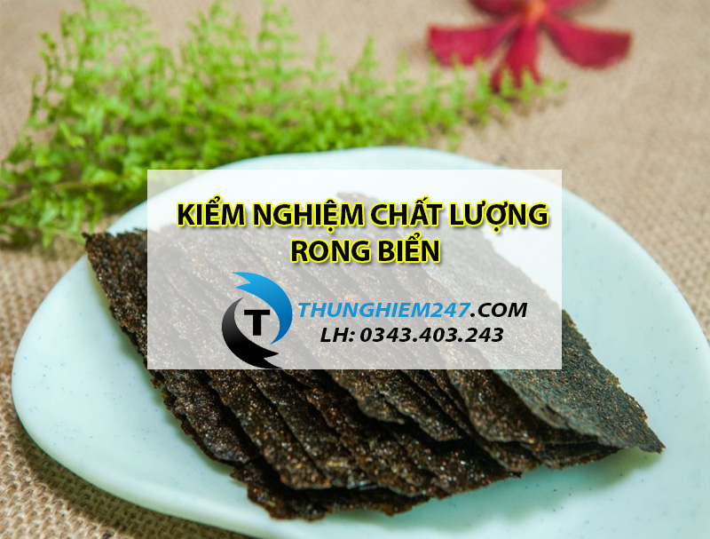 dia-chi-dich-vu-kiem-nghiem-cac-loai-rong-bien-gia-re-nhanh-nhat