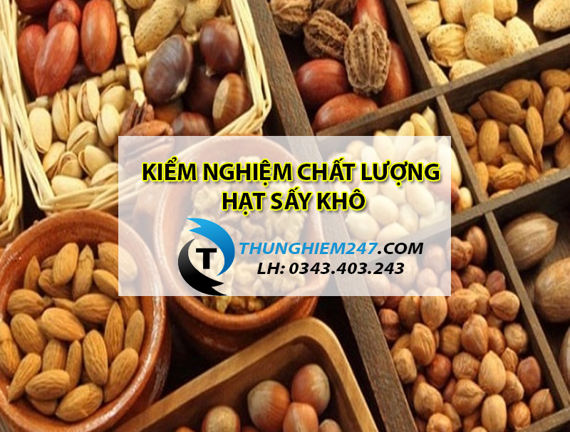 dia-chi-kiem-nghiem-cac-loai-hat-say-kho-gia-re-nhanh-nhat