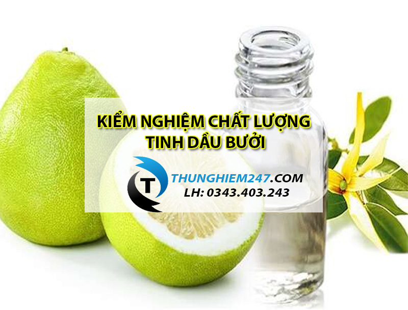 dia-chi-kiem-nghiem-chat-luong-tinh-dau-buoi-gia-re