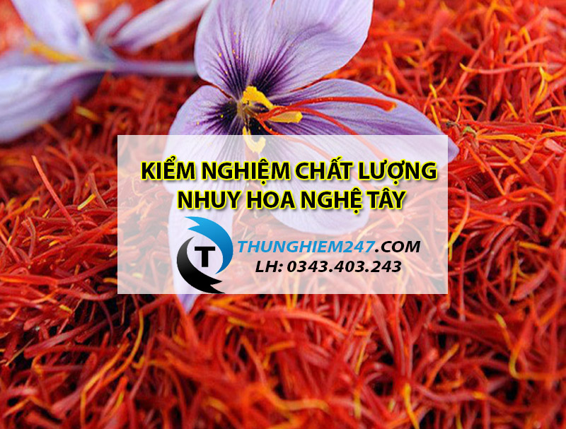 dia-chi-nhan-kiem-nghiem-nhuy-hoa-nghe-tay-gia-re-nhanh-chong