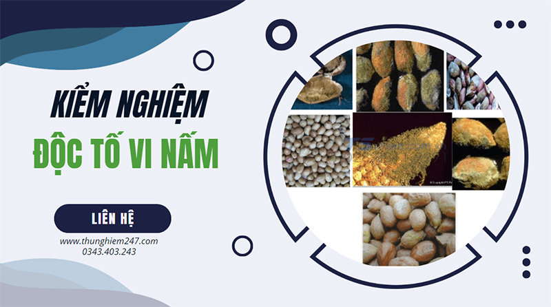 kiem-nghiem-doc-to-vi-nam-aflatoxin-tong-so-1